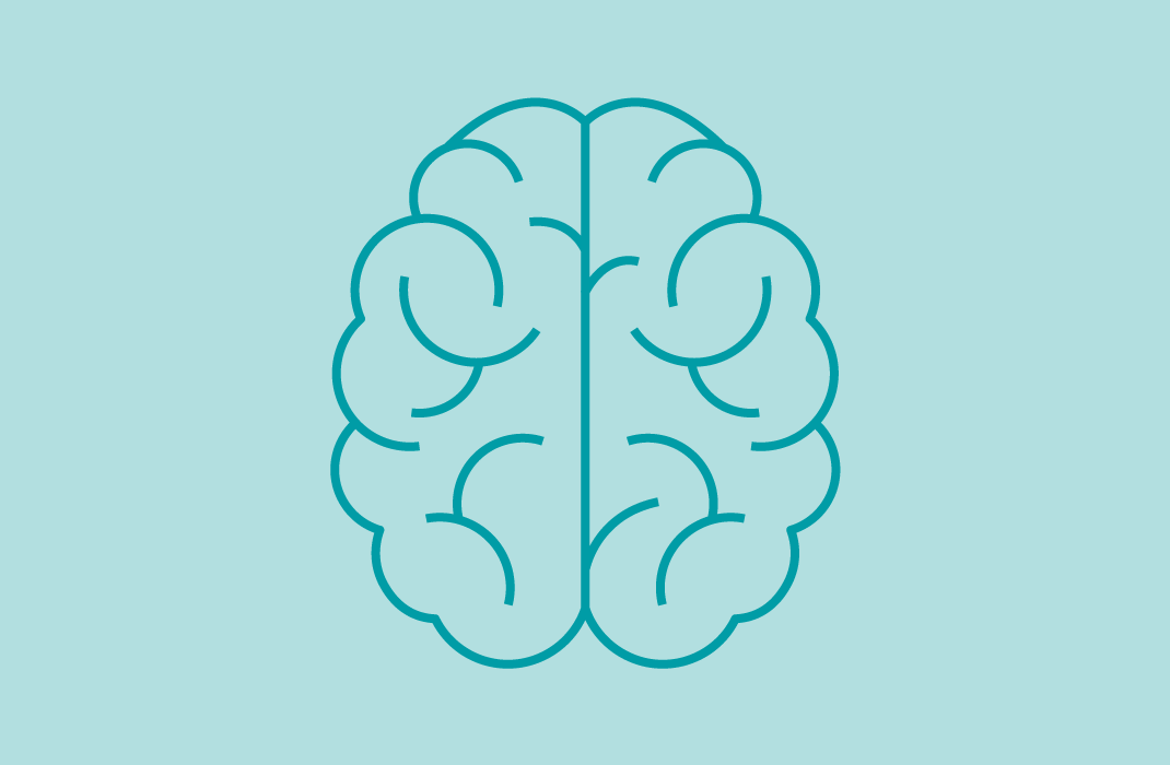 Illustration of brain