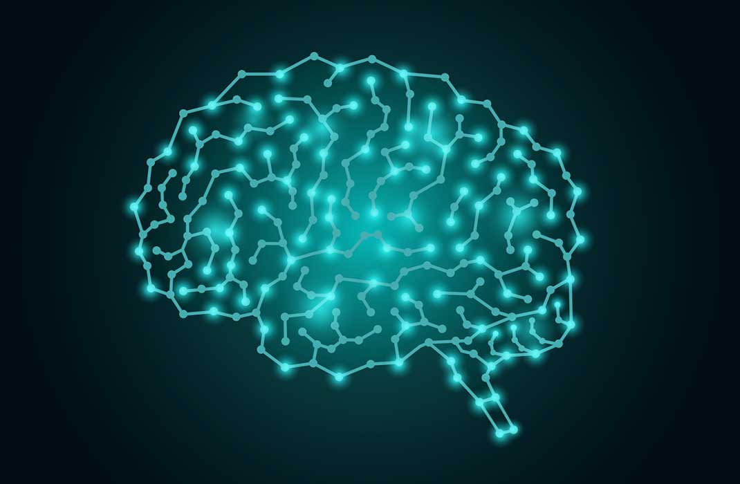 Outline of circuits in the brain.