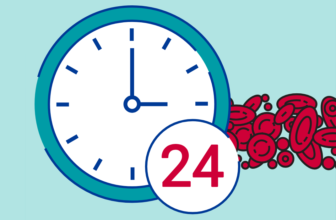 Down to a Science: How Many Red Blood Cells Do You Produce?