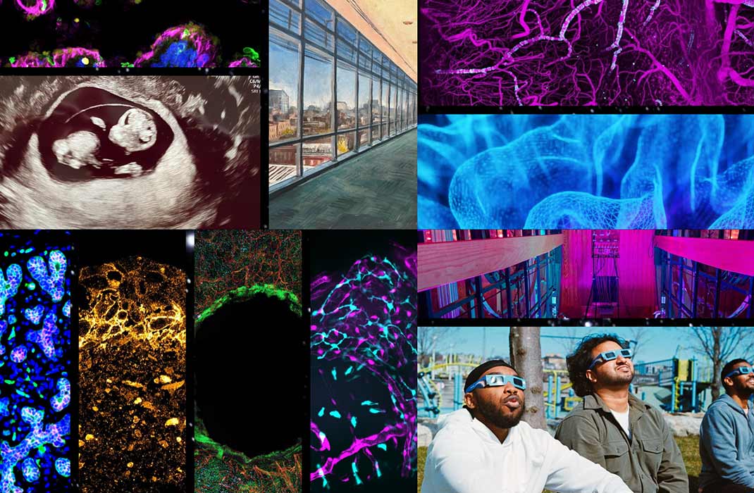 Close-Up Science: Can You Guess What the Image Is?