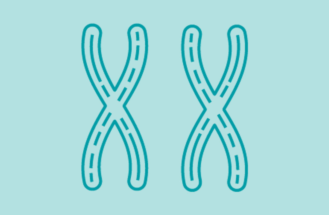 Research Spotlight: Study Explores Biological Differences in Breast Cancers Among Older and Younger Patients