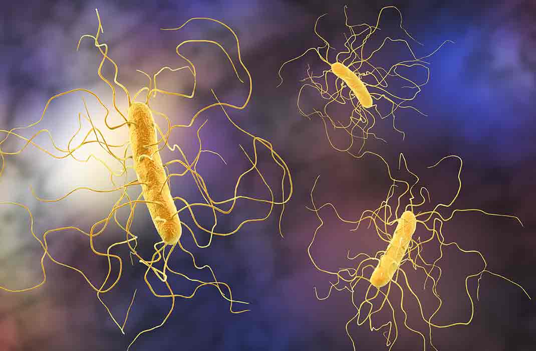 Mass General Brigham Researchers Uncover Metabolic Secrets of Anaerobes and Identify New Strategies to Treat C. difficile Infections