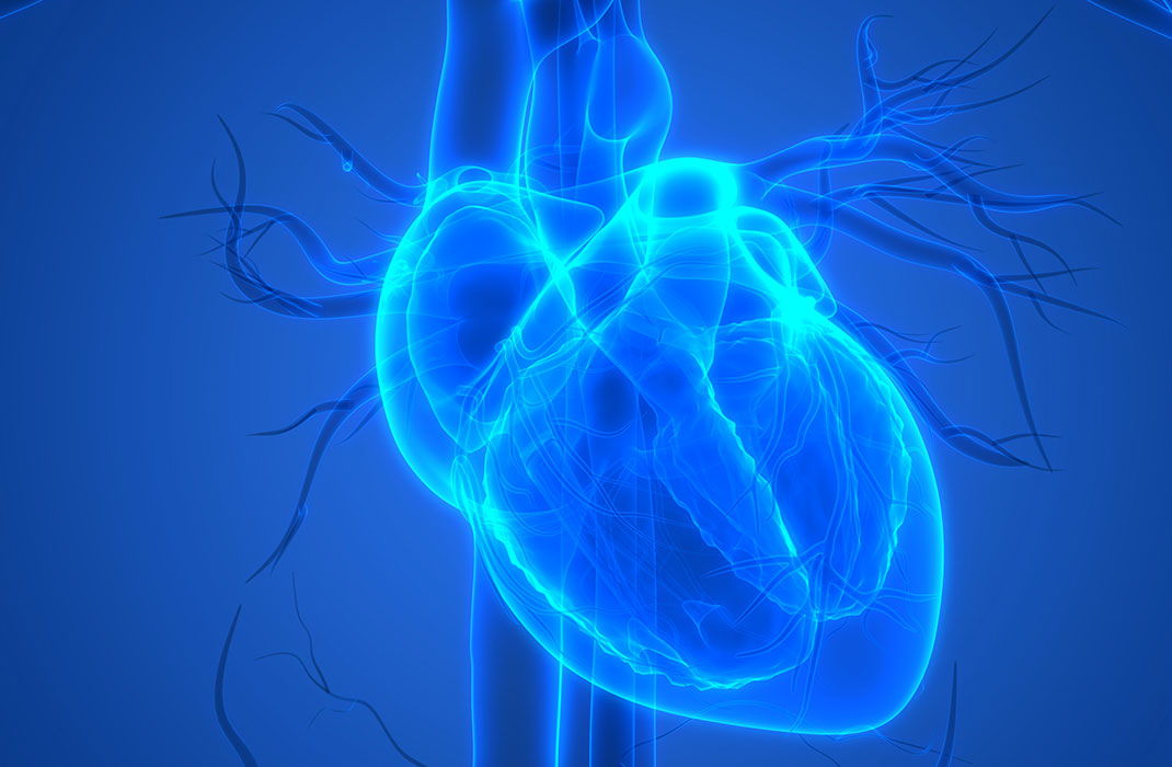 Traumatic Brain Injury Under-Recognized as a Risk Factor for Cardiovascular Disease