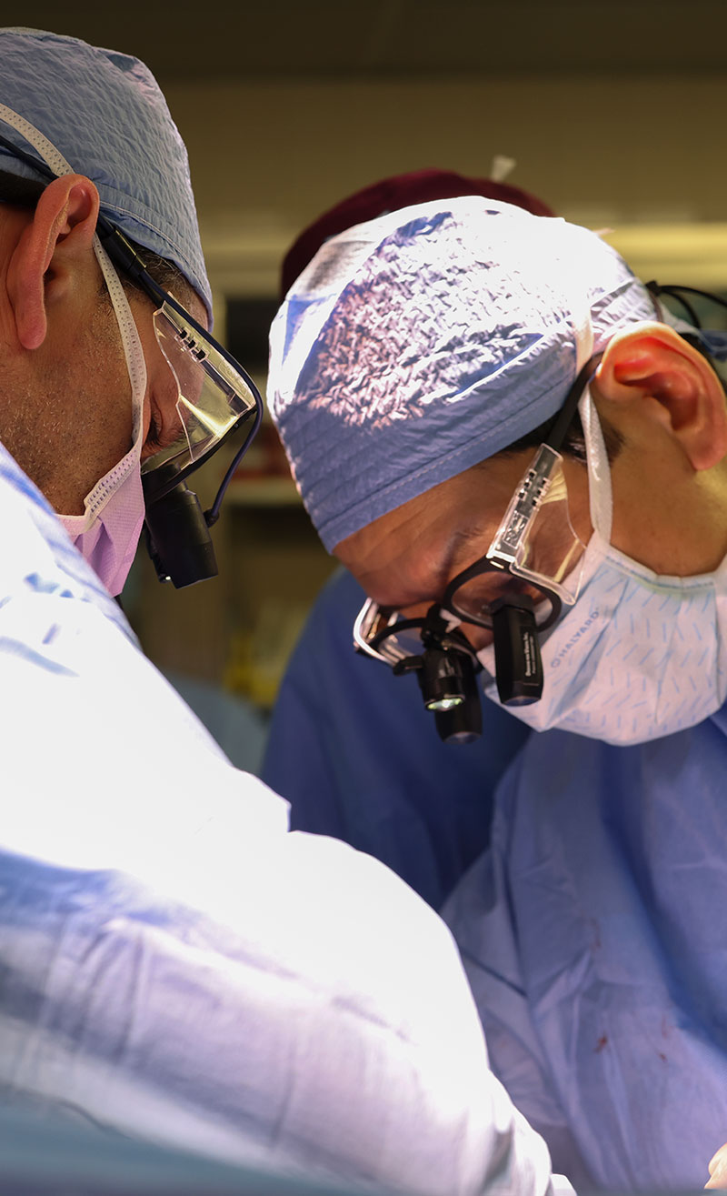 Surgeons operating on patient to transplant pig kidney