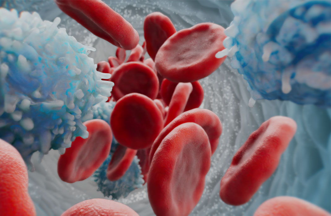 Red blood cells graphic