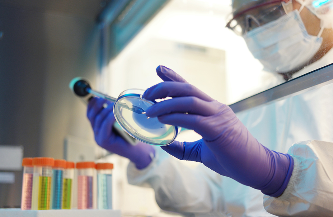 researcher viewing samples in dish in a lab