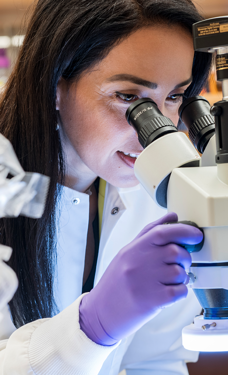 A female scientist peers into a microscope.