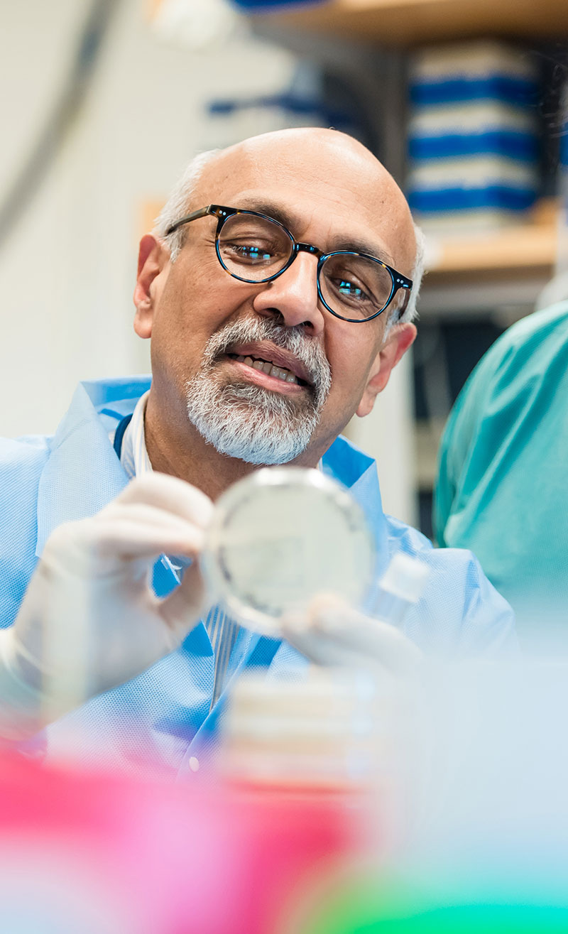 MGH Mucosal Research lab researcher looks at petri dish