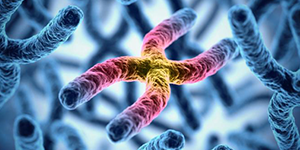 one colored dna surrounded by non colored dna