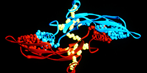 illustration of colorful molecules 