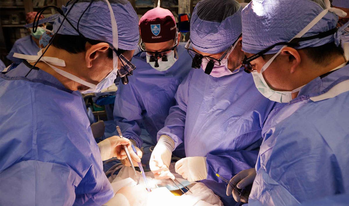 Pig Kidney Keeps Man Dialysis-Free for 9 Months