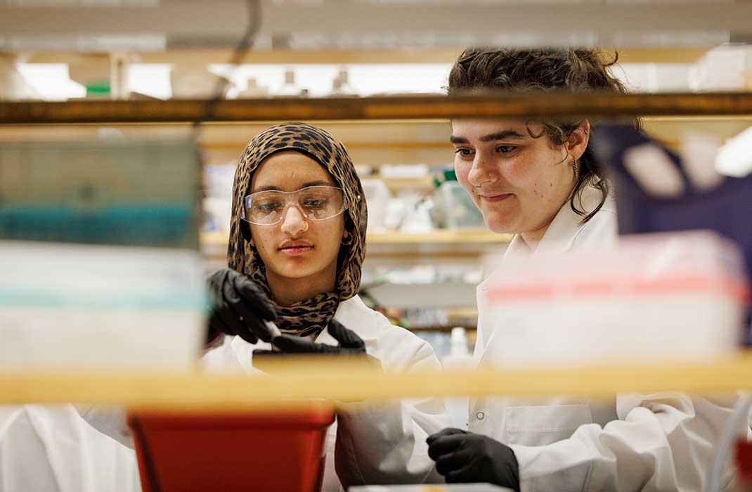 Youth Program students working in laboratory setting
