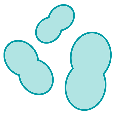 Illustration of gut microbiome
