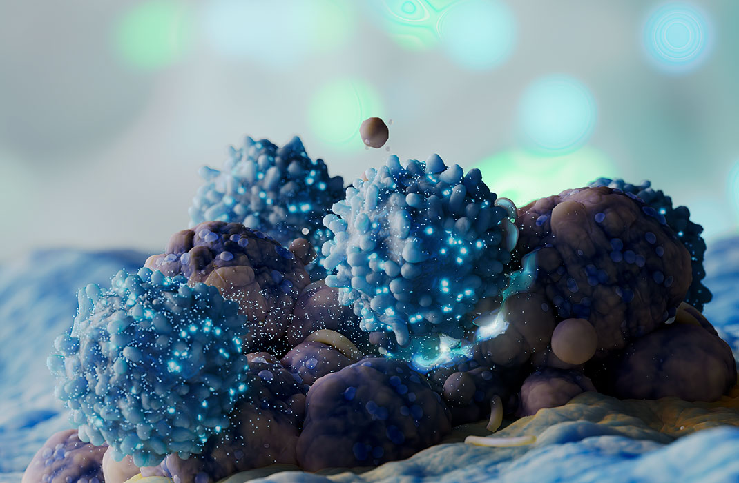 A cluster of cells. 