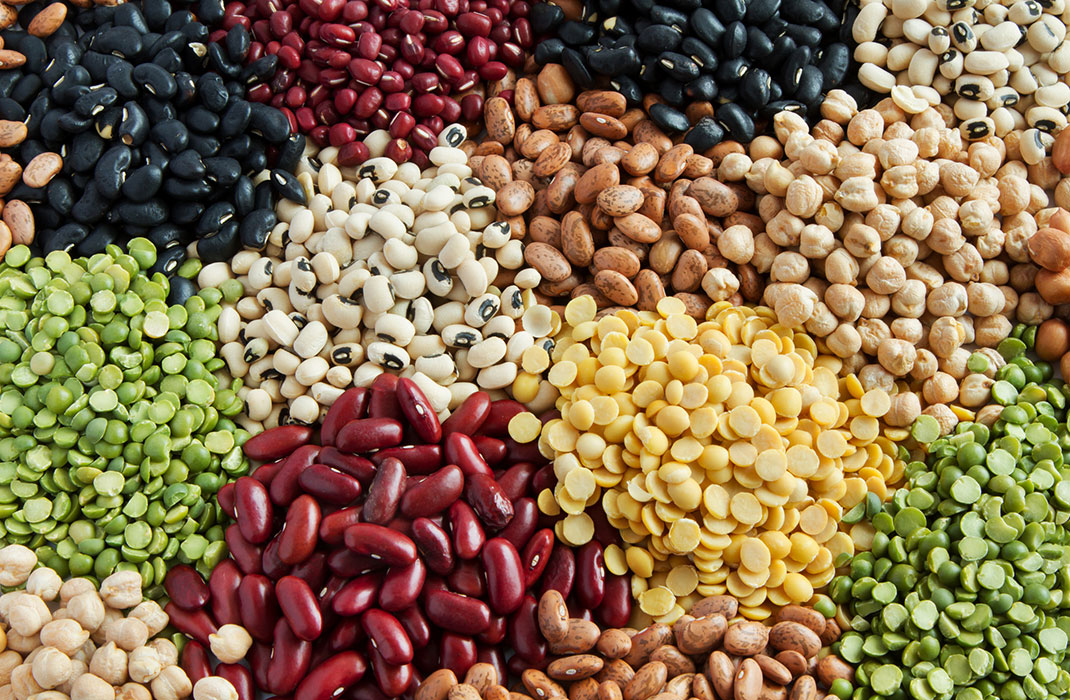 Different types of beans. 