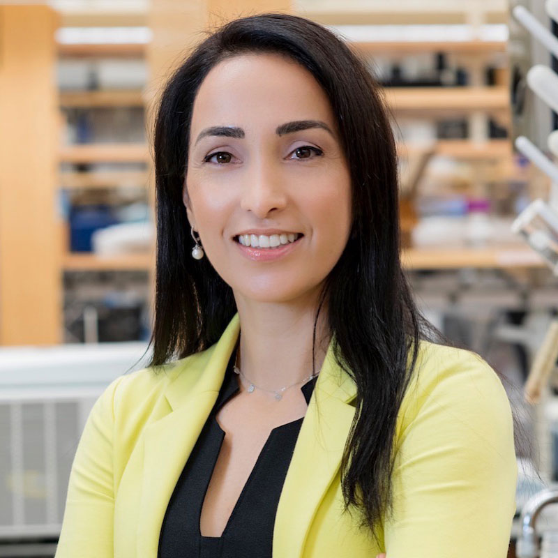 Natalie Artzi, PhD