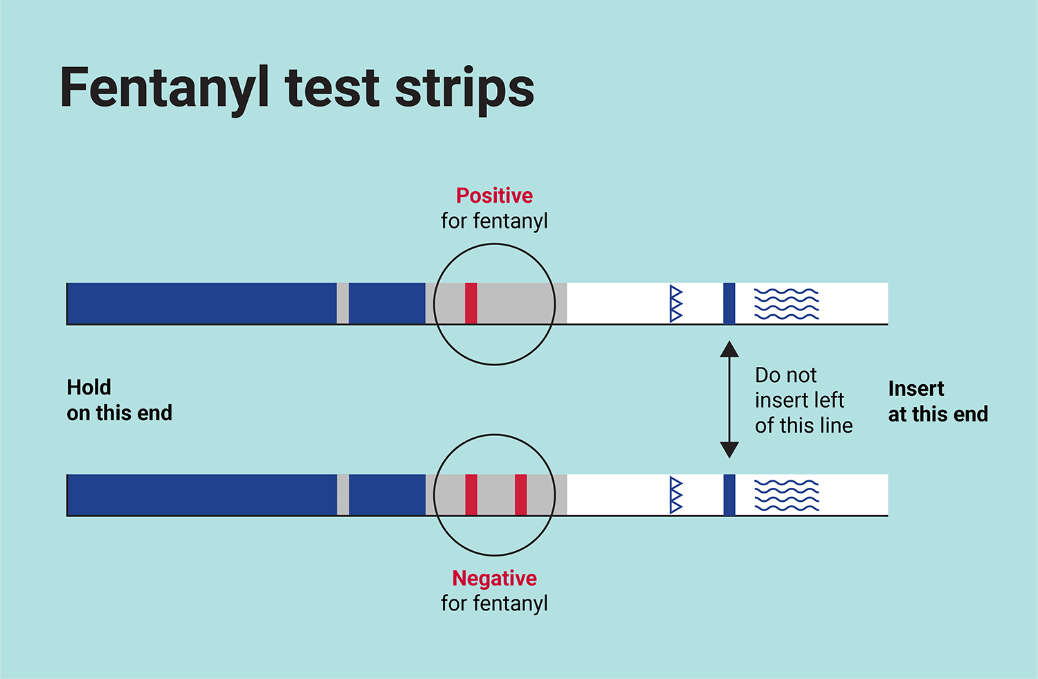 Two fentanyl test strips showing what positive and negative results look like.