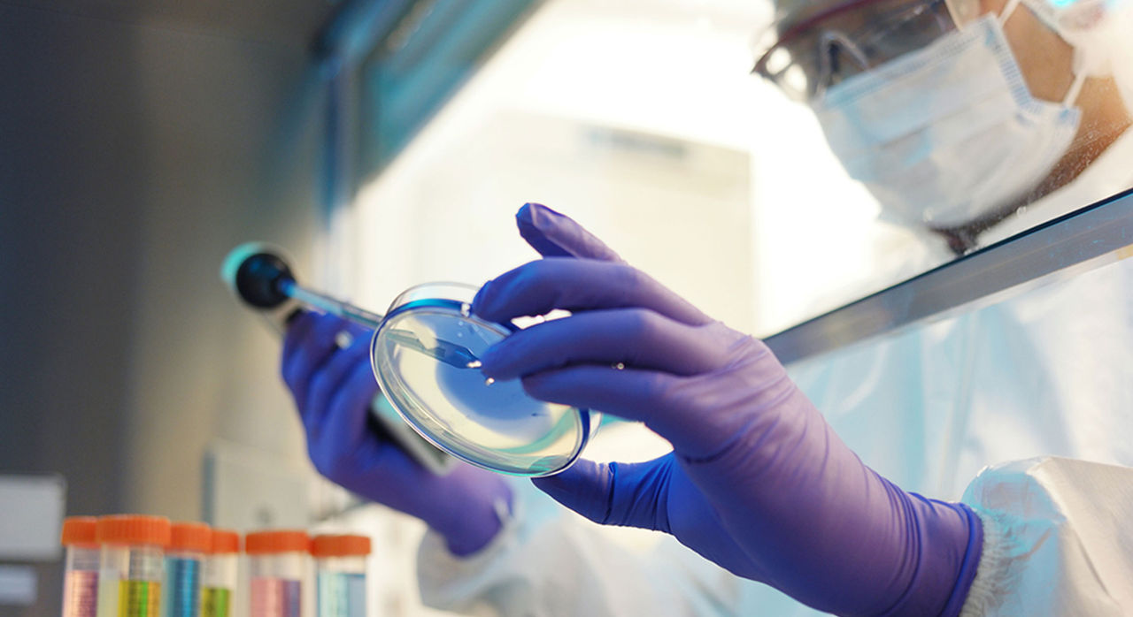 Researcher conducting research and working on a specimen in a laboratory