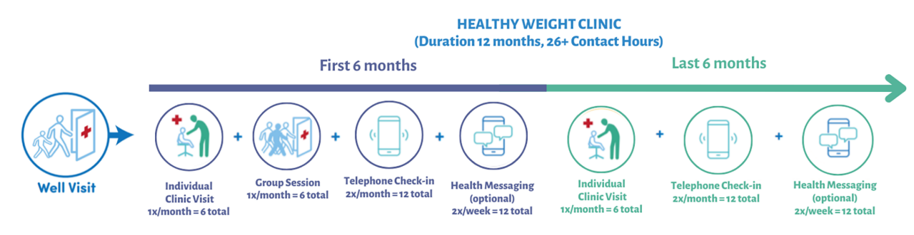 Illustration of a 12-month Healthy Weight Clinic program with 26+ contact hours. The timeline includes well visits, individual clinic visits, group sessions, telephone check-ins, and health messaging. Key visuals feature icons representing medical visits, communication devices, and group activities. Numeric details such as '12 months' and '26+ contact hours' are prominently displayed.