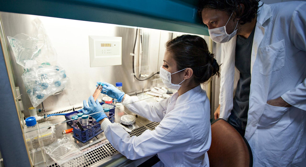 Researchers analyzing lab samples