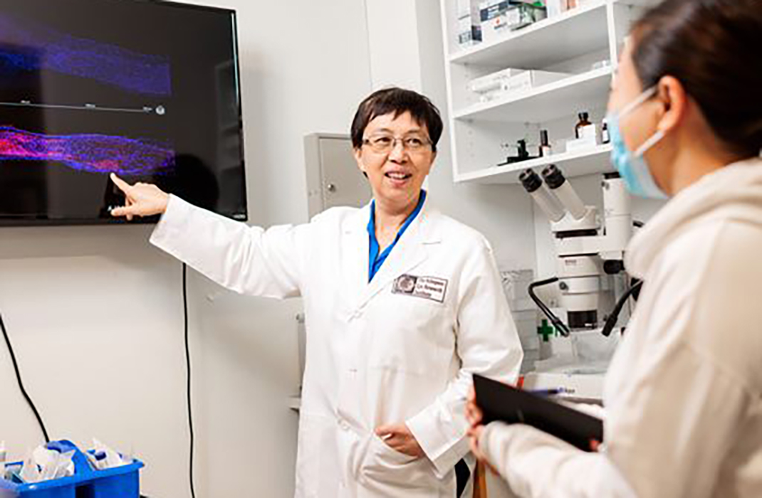 Dr. Dong Feng Chen points to a medical image on a screen