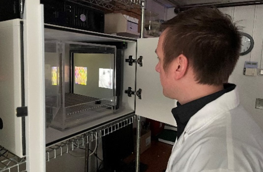 Researcher looking at samples