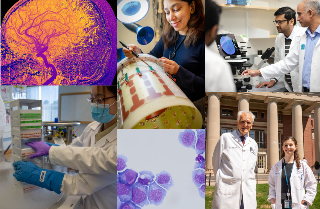 Collage of photos of cell scans, brain scans,and researchers in the lab.