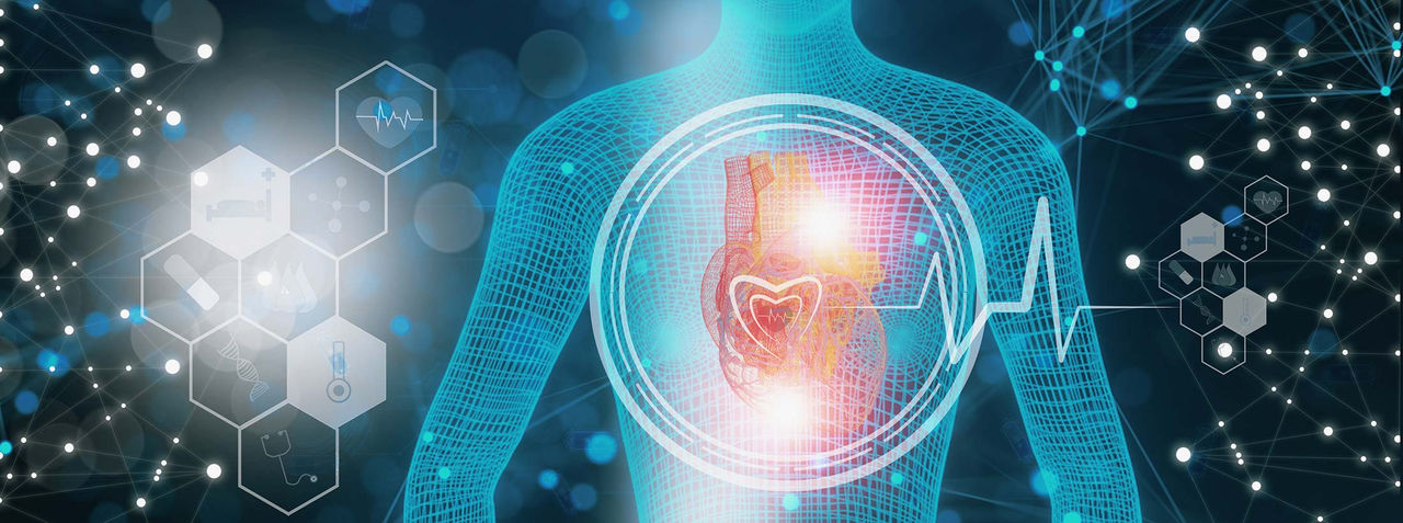 A blue graphic illustration of the upper body with the heart in red and a pulse line in light blue