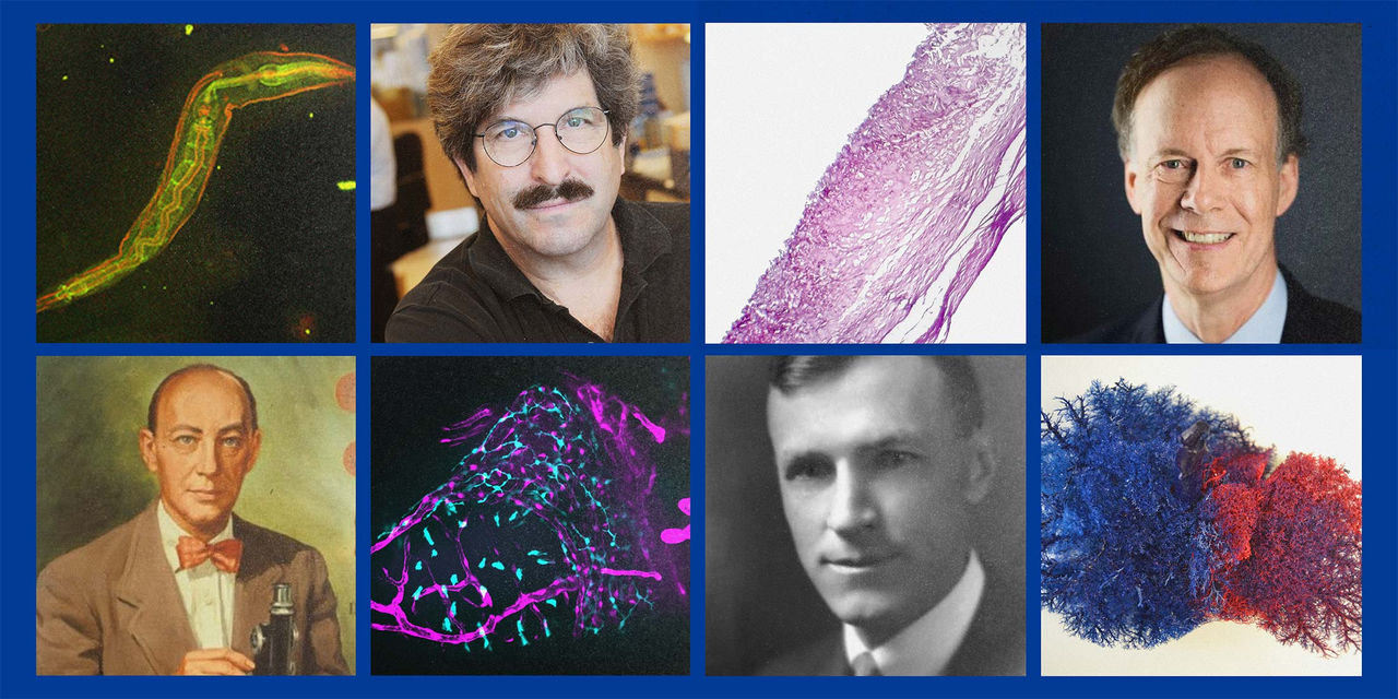 A collage of various Nobel Prize winners from MGH and BWH, as well as several science graphics