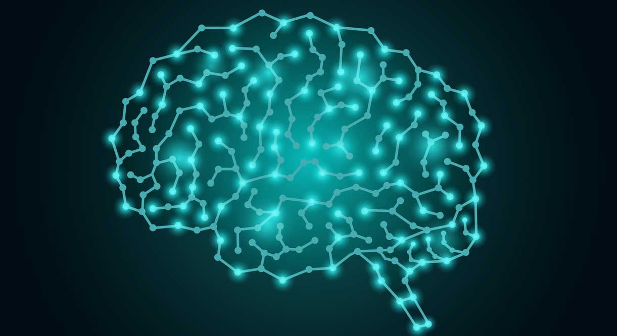 Outline of circuits in the brain.