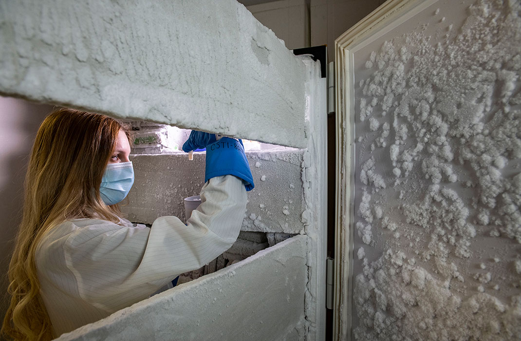 A lab worker checks a sample in a freezer