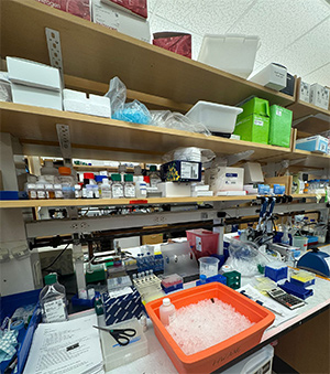 A lab setting