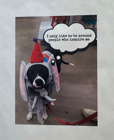 A motivational poster featuring a dog and a thought bubble that says, "I only like to be around people who inspire me"