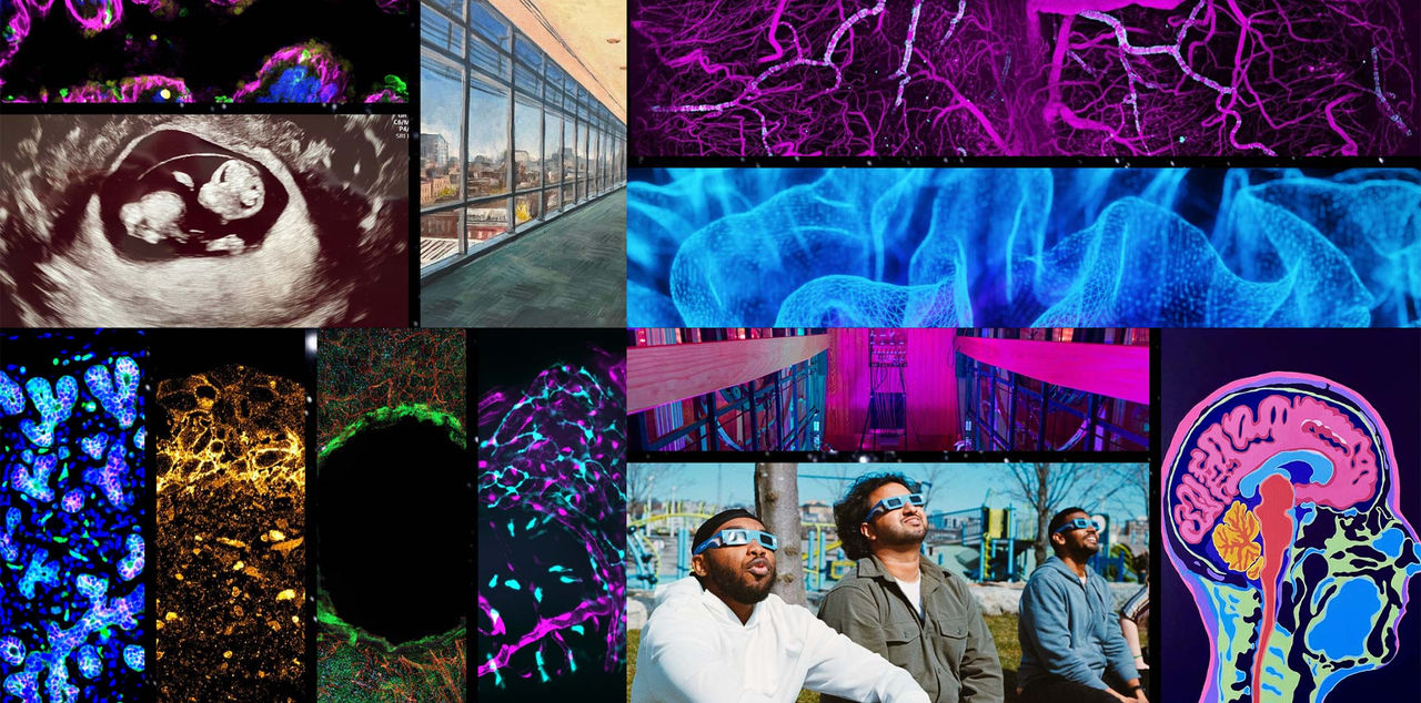 A collage of various science images