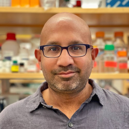 Saumya Das, MD, PhD