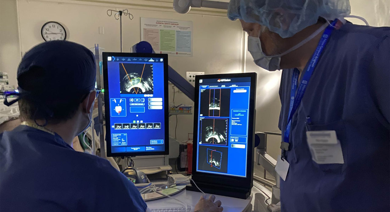 Two doctors looking at medical scans on computer monitors