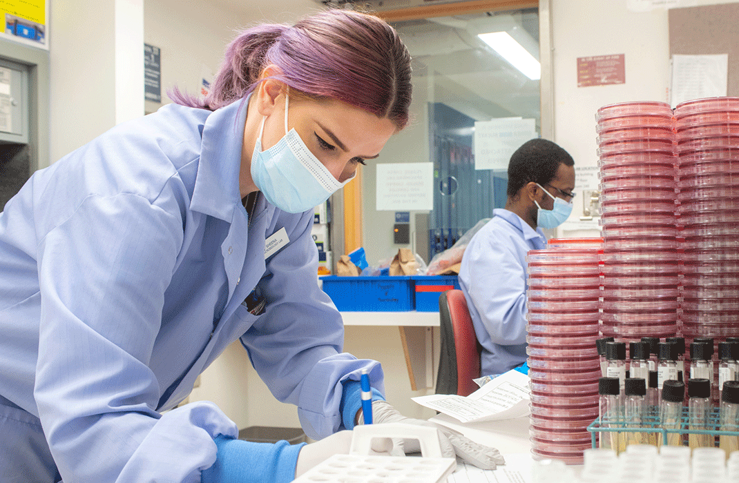 A researcher examines samples