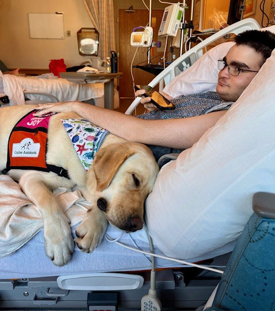 Pediatric patient Matthew pets Kayce, a yellow Labrador Retriever and facility dog, while Kayce lies down on Matthew's hospital bed.