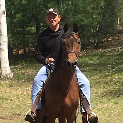 A person is seen riding a brown horse in a forested area with lush greenery and trees in the background. The horse is equipped with a bridle and saddle, and the rider is dressed casually in a black shirt and blue jeans.