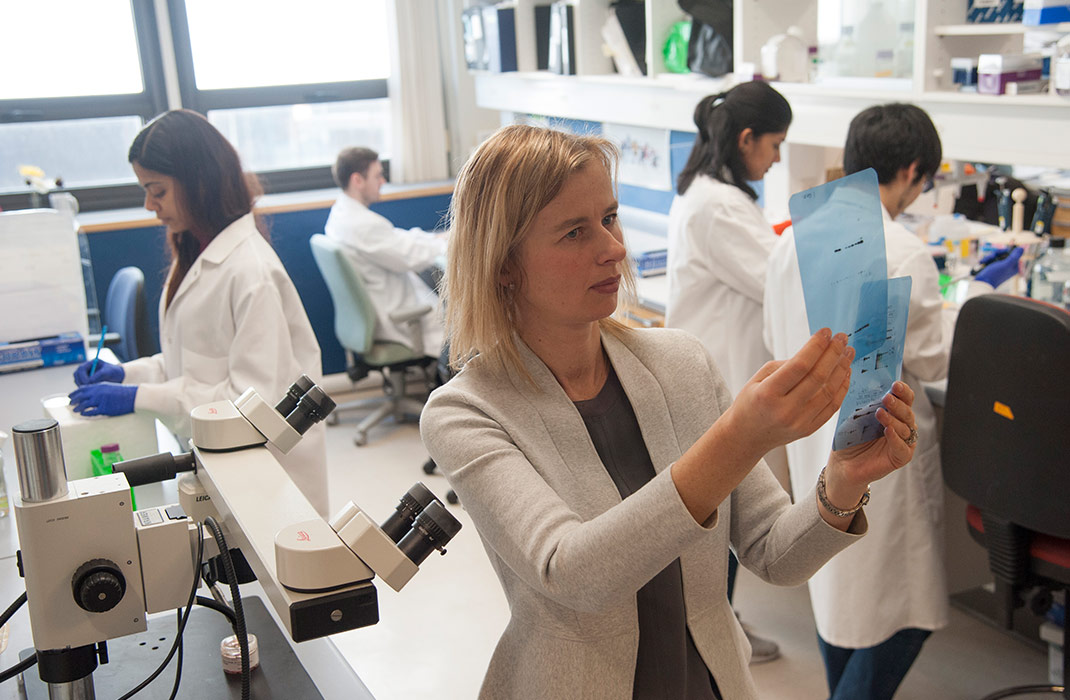 A researcher looking at materials in a lab