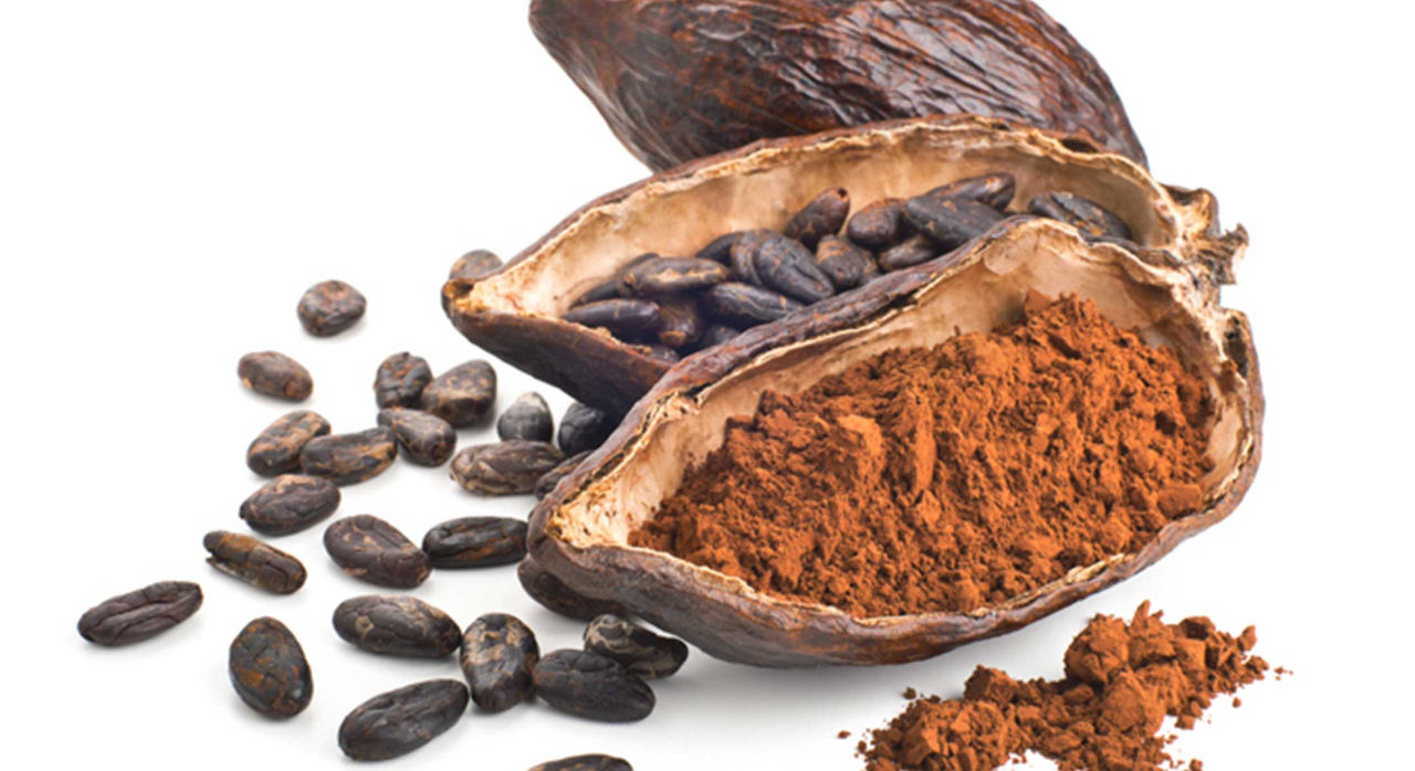 Cocoa pod, beans, and powder