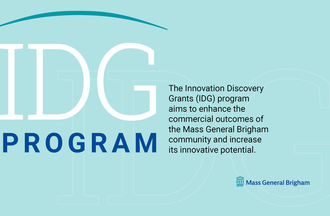 IDG Program infographic 