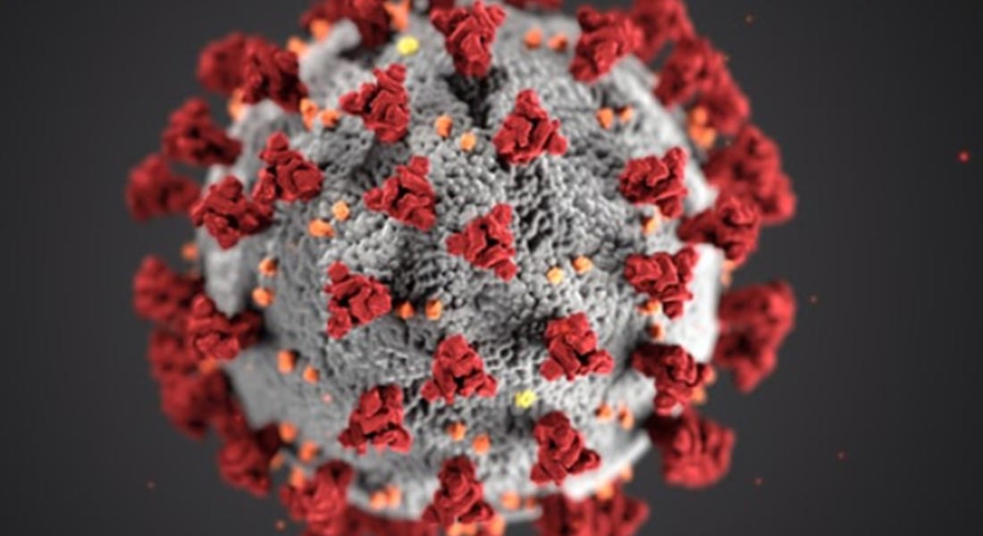 computer rendition of the coronavirus