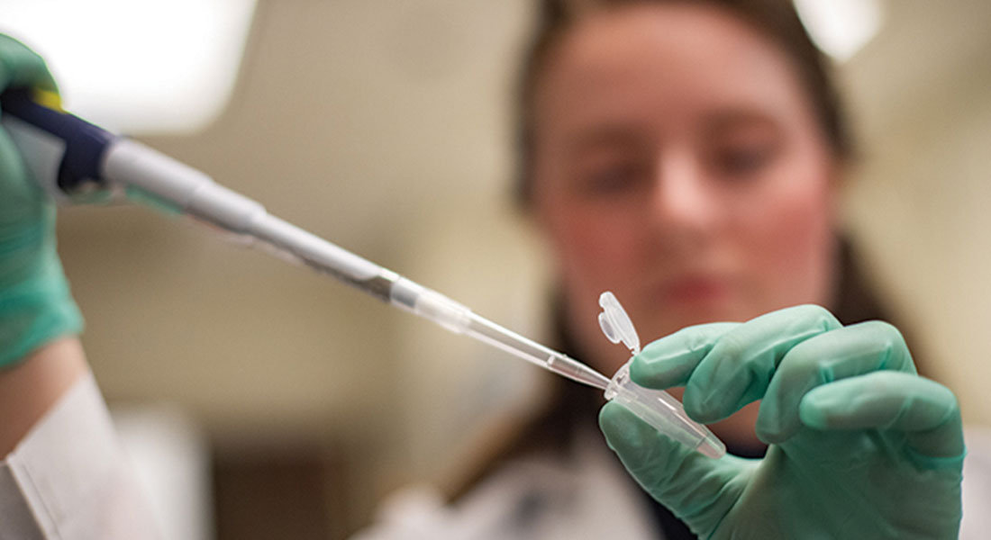 researcher doing lab work