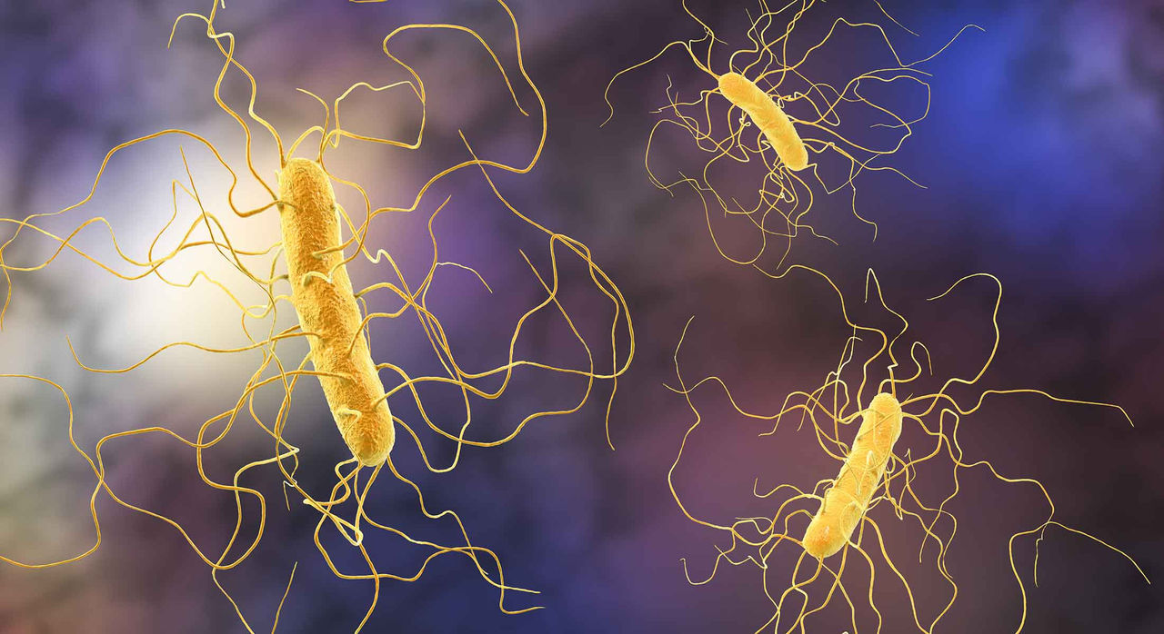 A graphic of Clostridioides difficile