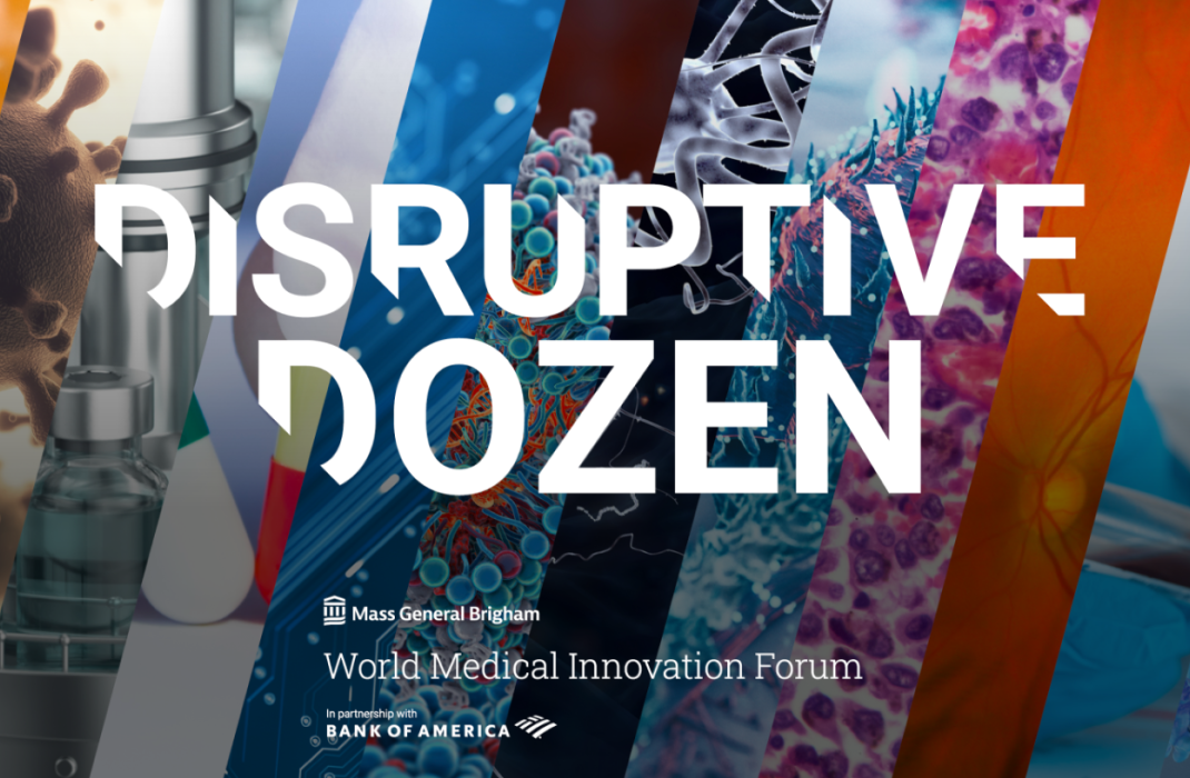 graphic with text "disruptive dozen"