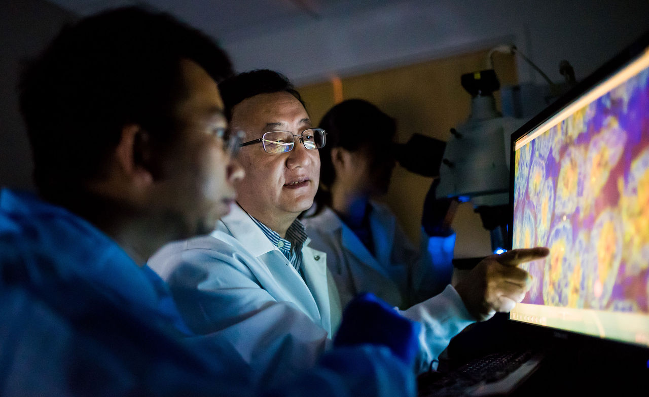 Mass General Hospital researchers look at mucosal imaging