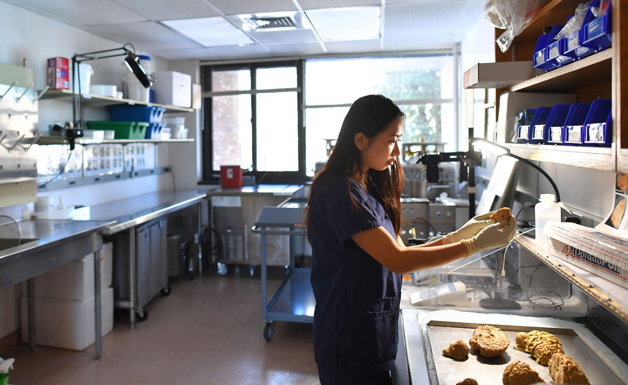 McLean Hospital brain research lab