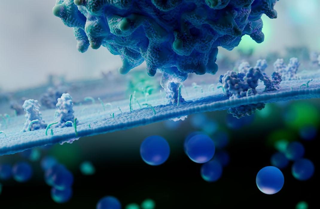 virus membrane