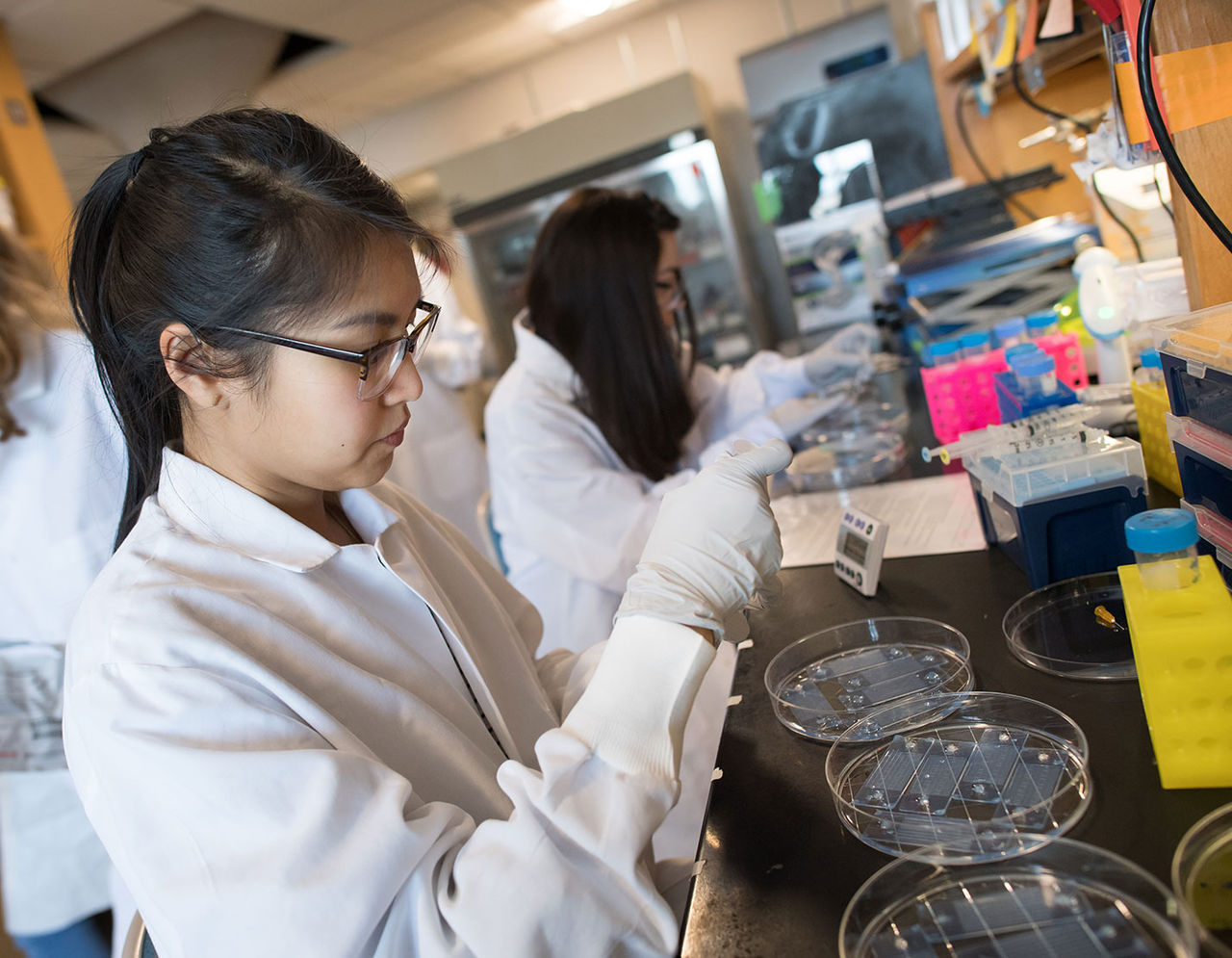 Female researchers in lab setting 